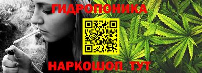 прущие грибы Изобильный