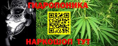 прущие грибы Изобильный