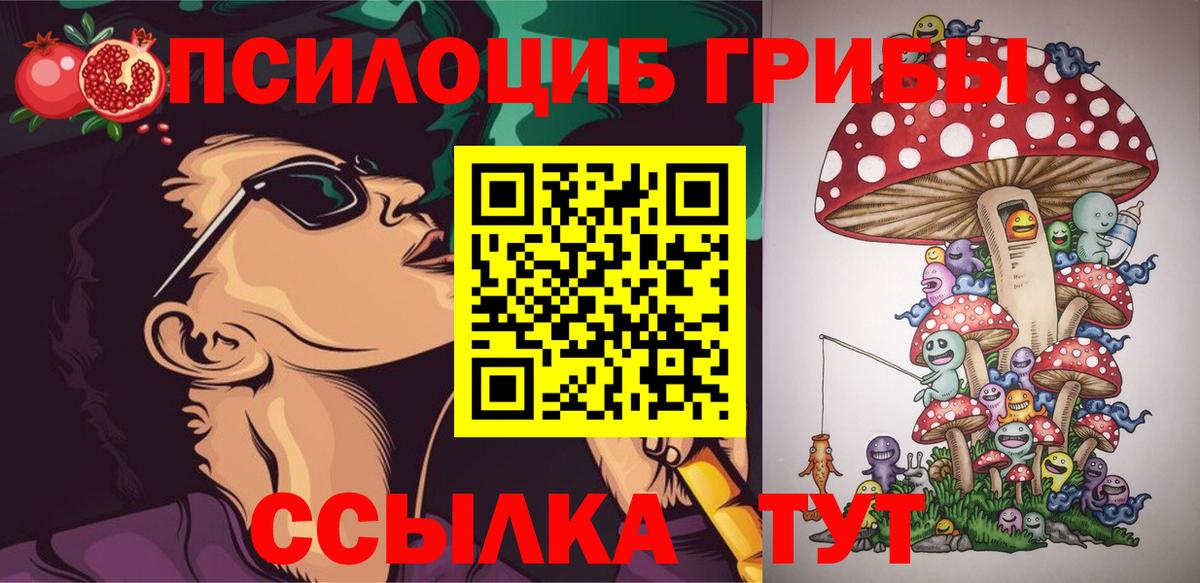 Тимашёвск  Псилоцибиновые грибы мицелий  Псилоцибиновые грибы ЛСД  Вход с VPN 