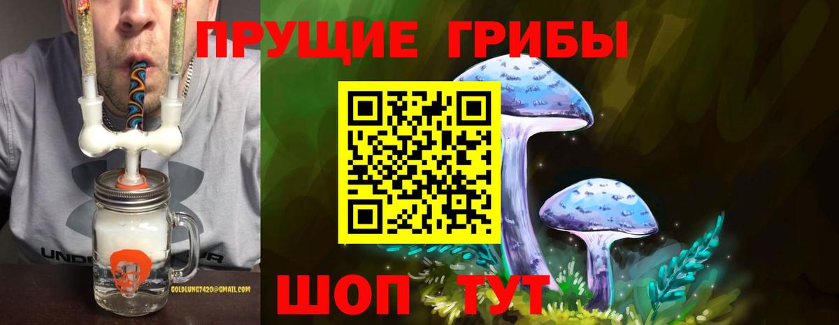 Псилоцибиновые грибы MAGIC MUSHROOMS  Вход с VPN  Тимашёвск  как найти   Галлюциногенные грибы Cubensis 